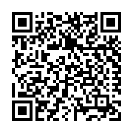 qr-code SLVTSSLVB17381765P035 
