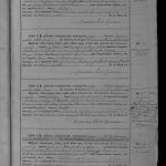 NCBRRSVLB18781888P037