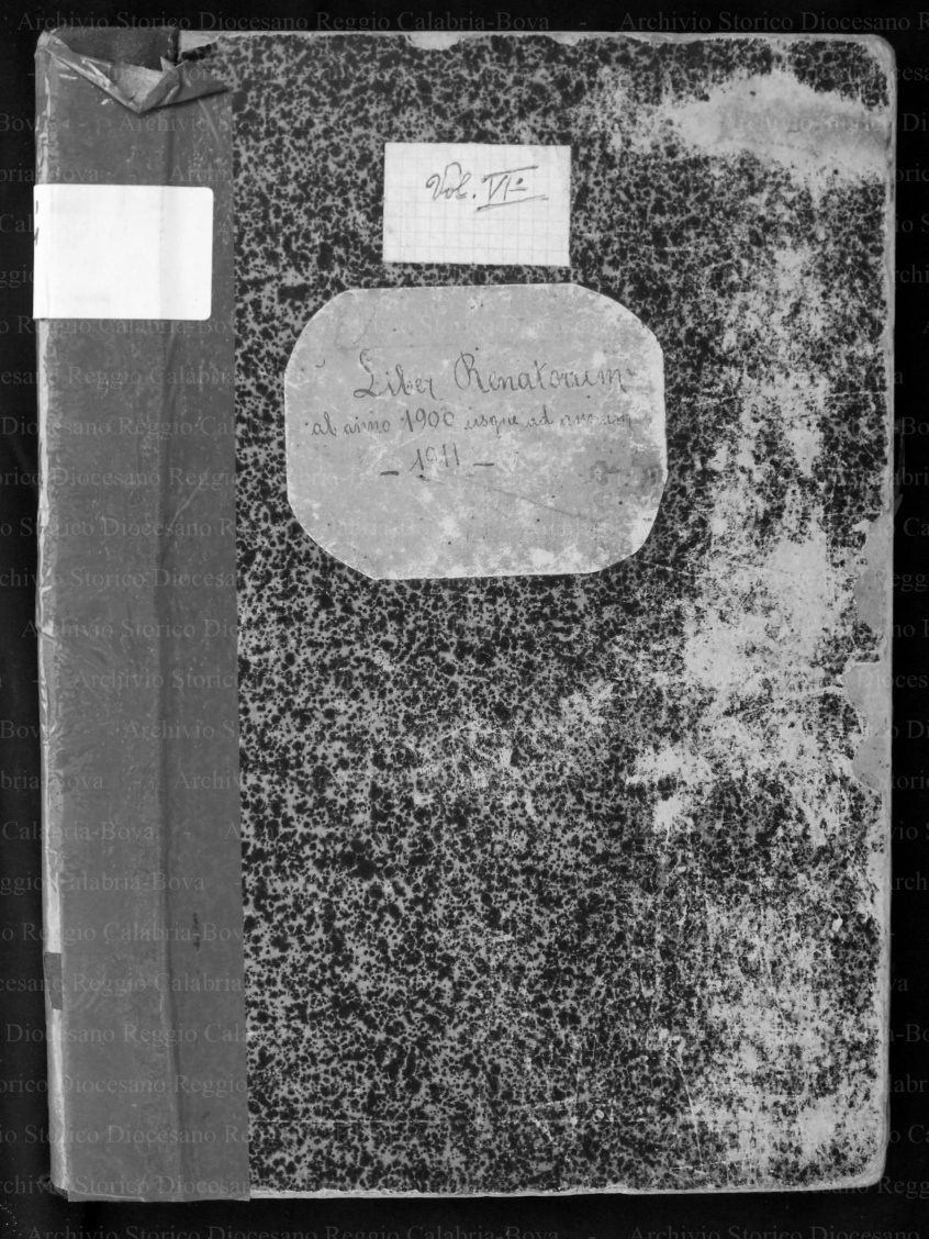NCBRRSVLB19001911P001