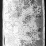 ANNAPLZZB19211934P298