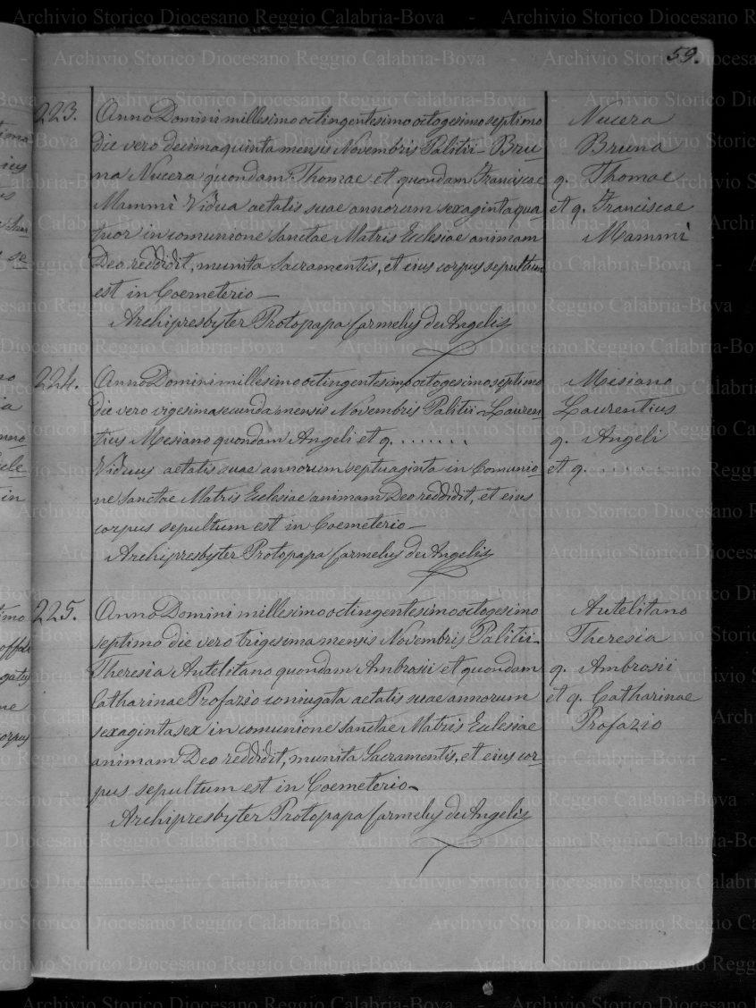 ANNAPLZZD18841890P075