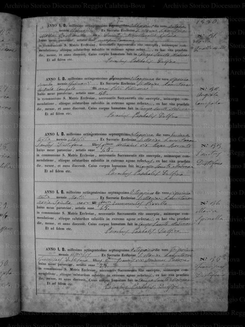 MRLRRGCLD18781914P037