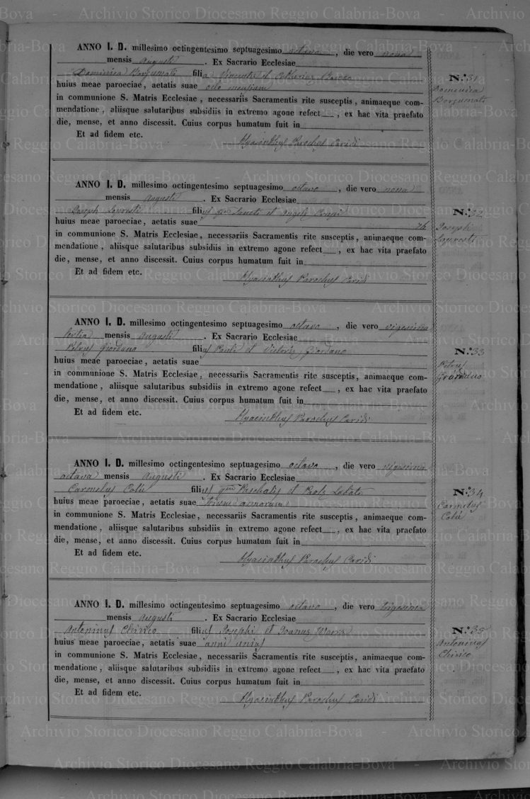 BGMRGLSPD18781889P012