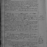 NCBRSDGSM18781909P041