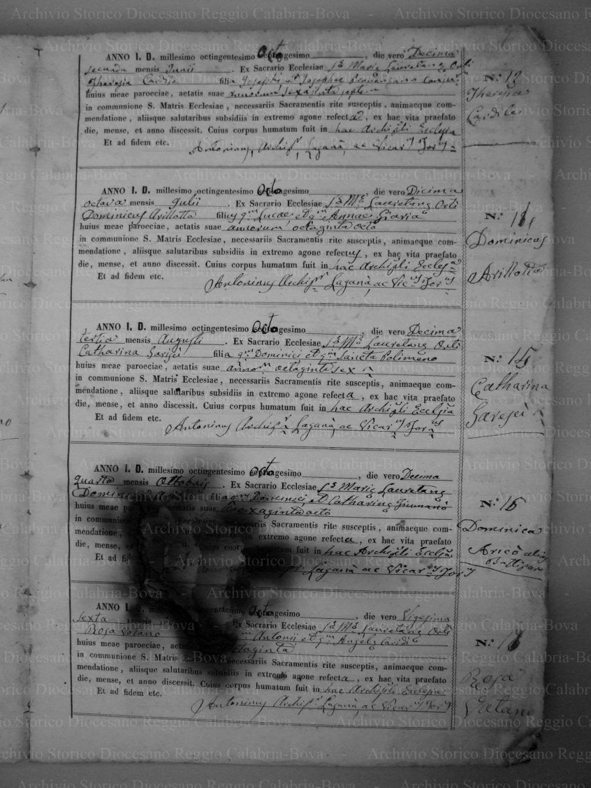 MRLOORTID18791925P021