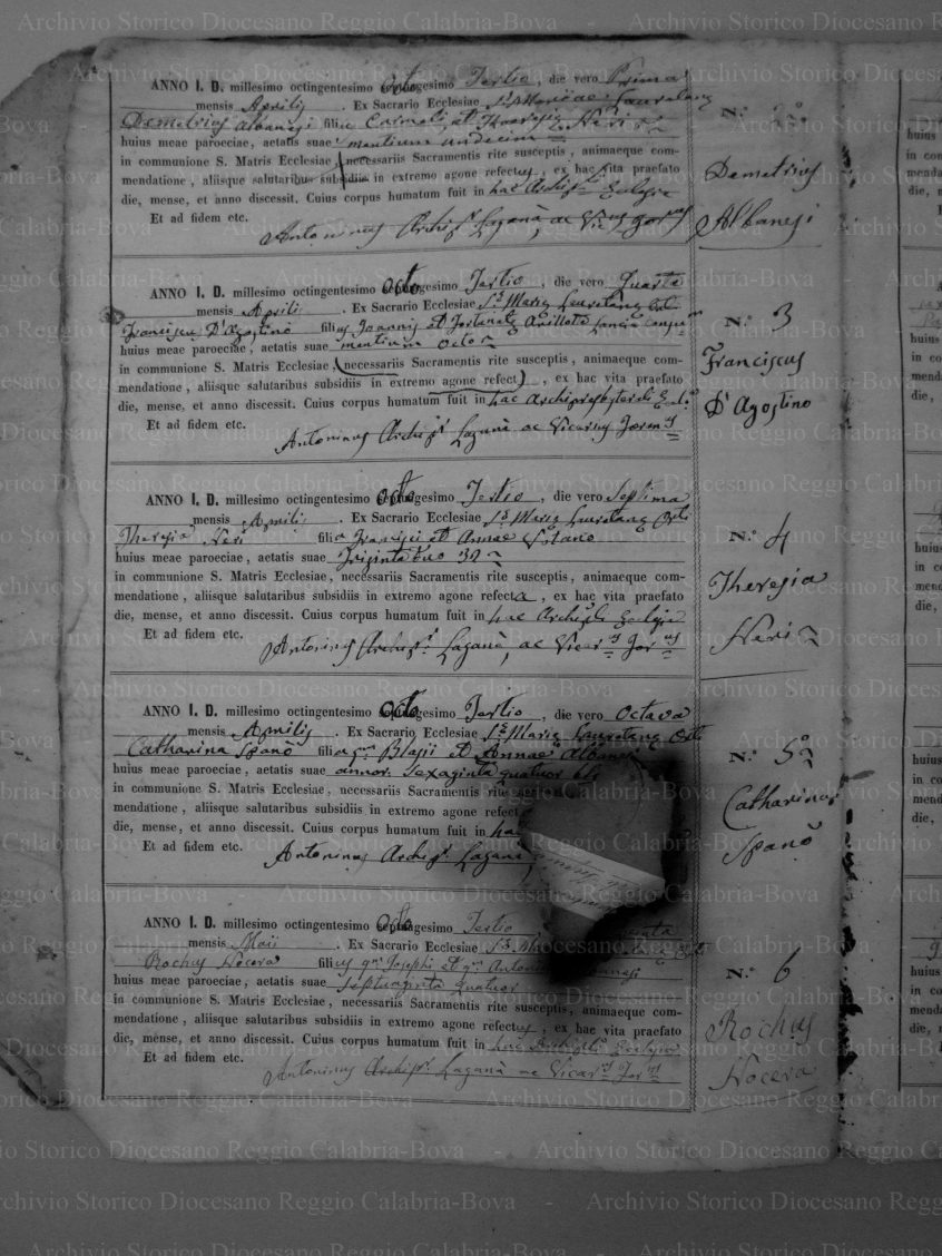 MRLOORTID18791925P028