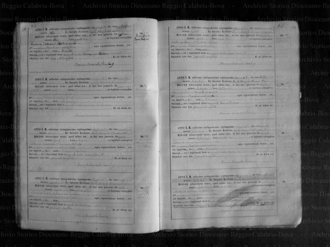 MRBSPDRGB18781895P046
