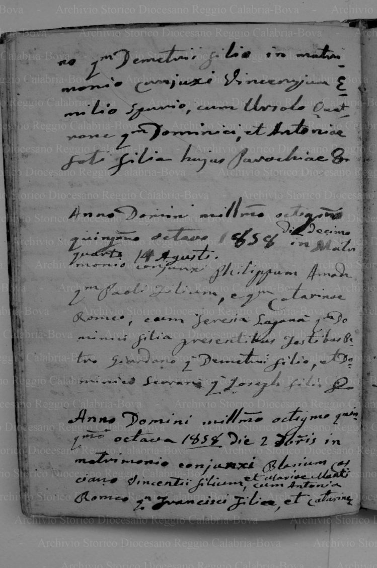 NCBRVITOM18521859P043